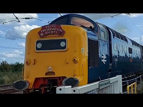 Deltic 55009 Alycidon  on the ECML 29/7/23