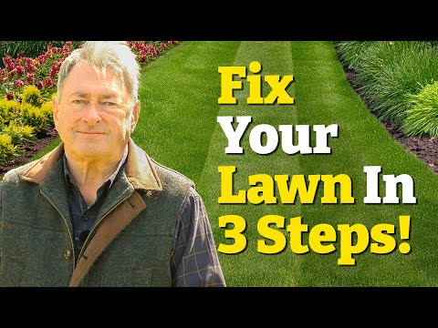 My 3-Step Fix for a Greener Lawn (Moss, Edges &amp; Bald Patches Sorted!)