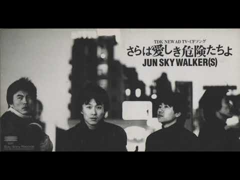 JUN SKY WALKER(S)／さらば愛しき危険たちよ（1995）