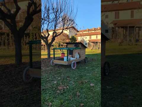Pollaio per galline ovaiole da esterno fai da te. Con ruote, automatico, intelligente, TRANSUMANTE