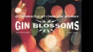Gin Blossoms Competition Smile Acoustic