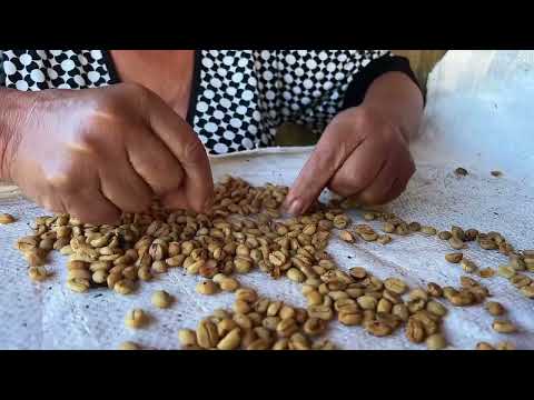 ☕🤎El aroma del mejor café del sur del Tolima te espera en San Antonio.