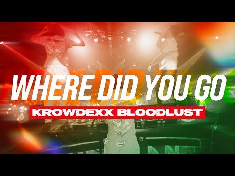Video thumbnail for WHERE DID YOU GO