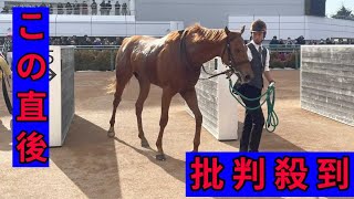 【衝撃快挙】ドラマ出演馬ブレイヴソルジャーが初勝利！話題と実力で魅せた感動の瞬間🐎🔥