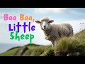 Baa Baa Little Sheep Children S Song For Preschoolers