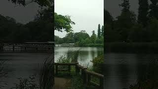 梅雨前の井の頭公園池
