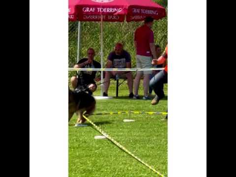 Pro Oxygen d’Ulmental gare 2021