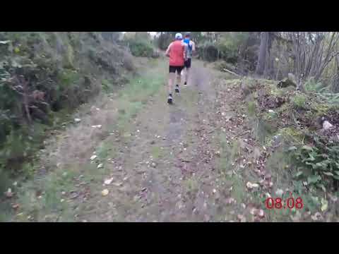 Närkes Terräng-DM (korta) 2021 - 4 km (Löparperspektiv, 2x)