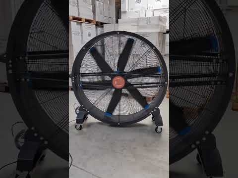 Wentylator Daxton HVLS 150cm Cyrkulator mobilny HDY-1.5D-32 - zdjęcie