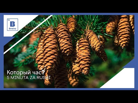 5 minuta za ruski - Который час?