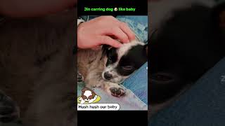 Download lagu Jin carring puppy like baby @CuteLife #bts mp3 Download lagu Jin carring puppy like baby @CuteLife #bts mp3