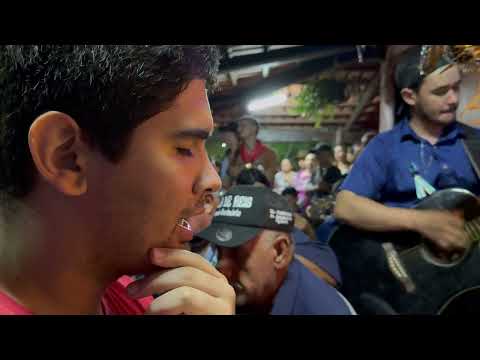 Folia de Reis Faz. Borboleta Campo Limpo de Goiás 2025 
