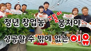청년 창업농 그들이  성공할 수 밖에 없는 이유? 뭉처야 성공한다 딸기농장 체험