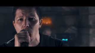 Wearing Scars - Butterfly