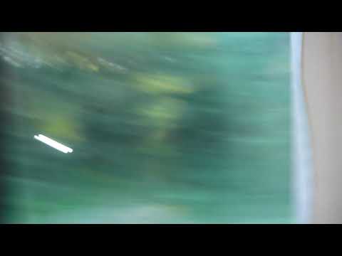 Linz Austria to Prague Czechia Train Part 1   October 2019