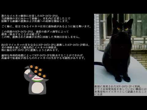 【SCP動画】　教えて！ゆかり先輩　SCP-2472-JP - Nyankoderoga