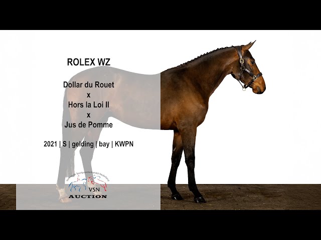Auction video