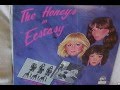 The Honeys - Go Away Boy 