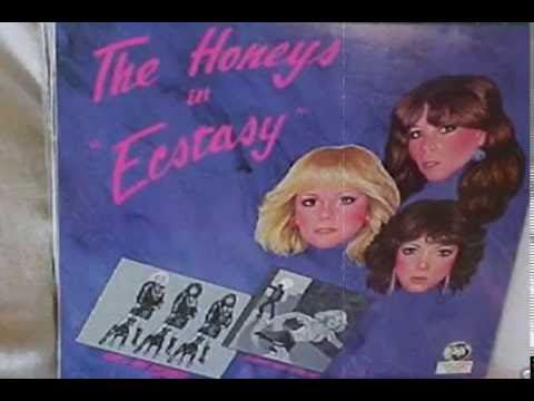 The Honeys - Go Away Boy