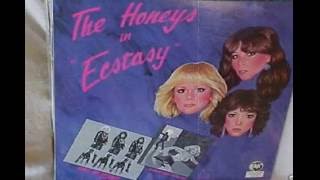 The Honeys - Go Away Boy