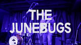 The Junebugs Live at the Doug Fir Lounge 10/15/2016