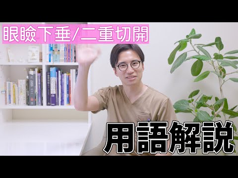 医学科 美容外科医 梅田剛による二重切開/眼瞼下垂の専門用語解説