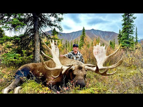 ALASKA BULL MOOSE HUNT 2025 - TWO BULLS IN TWO DAYS - Episode 1
