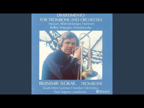 Concerto in D Major: II. Adagio