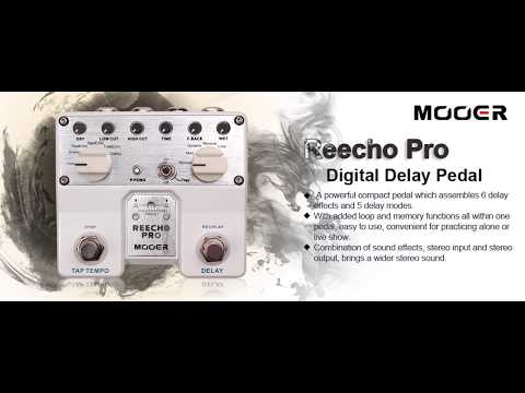 Mooer Reecho Delay  two examples of ambience I like to use