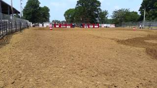 South Bend In 7.5.15 Goose