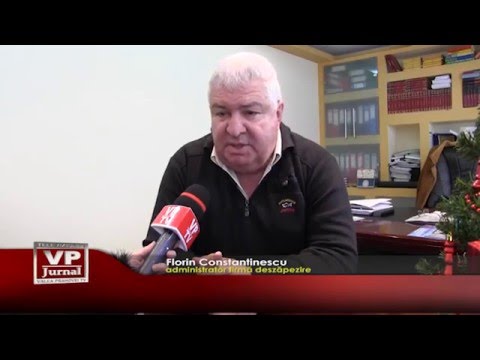 Ninsoare in ianuarie