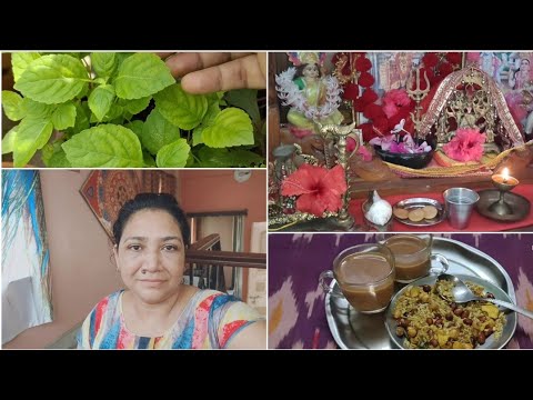 Bengali Vlog..এই তুলসী গাছ এই প্রথম দেখলাম ঘরে রাখা ভালো..এই জিনিষ টা পরতে ইচ্ছা হলো😁