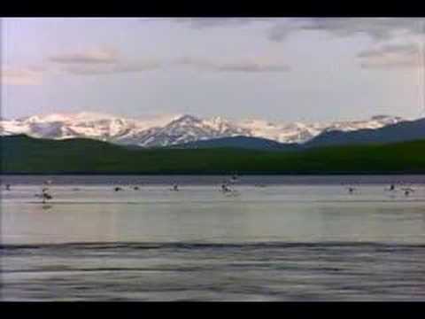 Lis Pos - Hlub Tso Cia