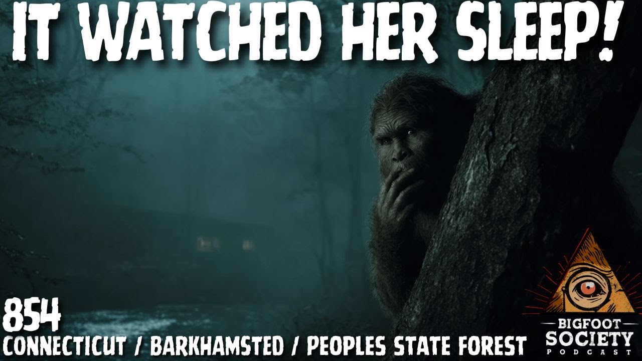 Bigfoot Terror in Connecticut — Slaps, Screams, and Eyes in the Dark