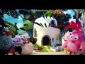 The Angry Birds Movie On FXM 05 03 19