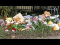 'Een klap en toen was je weg'; kaarten en bloemen op plek waar Lieke (11) verongelukte