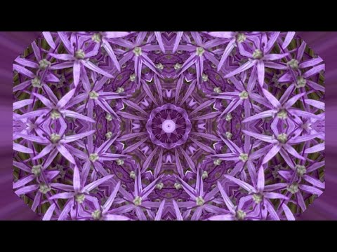 Reiki Healing Music: 5 Minute Tibetan Bell Timer & Mandala Flower