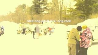 preview picture of video 'Laconia sled dog race 2011'