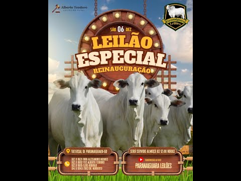 LEILÃO PARANAIGUARA LEILÕES 06/12/25 NO SINDICATO RURAL DE PARANAIGUARA -GO.