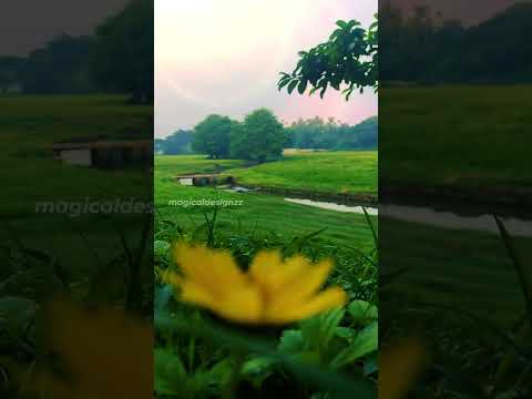 Vibes ❤️❤️ photographylovers #fashion #nature #photo #hashtag #keralam_of_pictures #magicaldesignzz