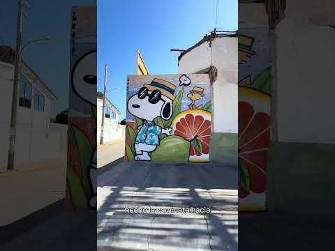 La invitación, parte 1: Pica