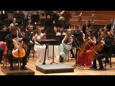 Flight of the Bumble bee Stefan Cazacu