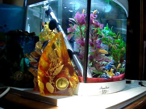 Diplomat Novelty Orch - Sleepy Time Gal