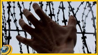 Տեսահսկվող խցերն ինքնասպանությունները կանխելու վատագույն լուծումն են. իրավապաշտպան