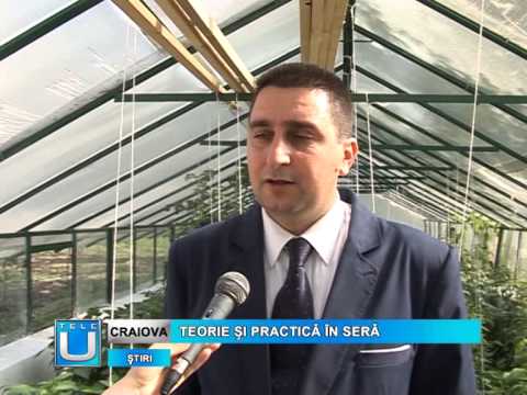 Teorie si practica in sera