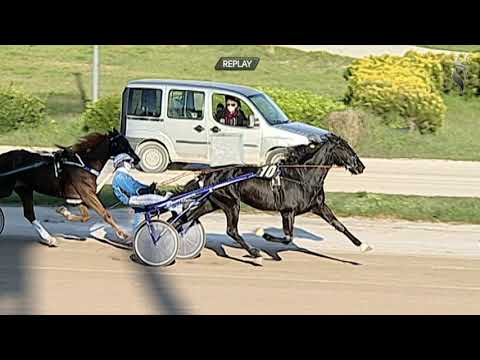 Aversa trotto 24 Marzo 2021 - 6° Corsa