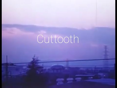 [한글 가사번역] Radiohead - Cuttooth