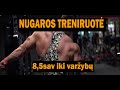 8,5sav iki varžybų | Kaip atlikt nugaros pratimus! BACK WORKOUT