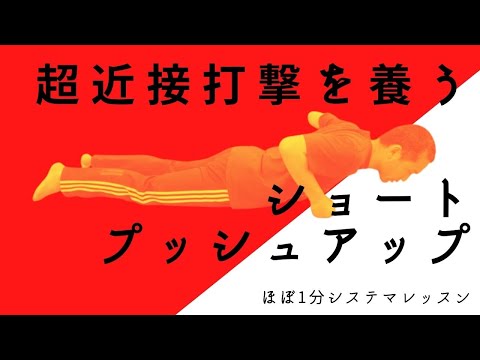 システマ式ワンインチパンチのトレーニング法「ショートプッシュアップ」