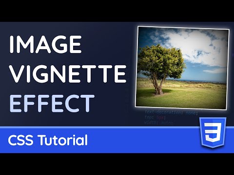 Hiding elements with display opacity or visibility CSS